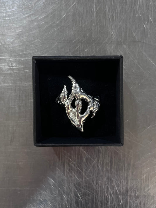 Ring 008